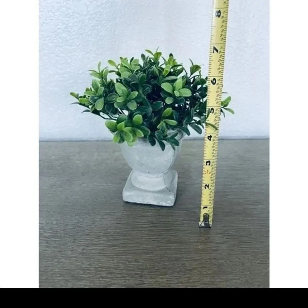 Eucalyptus Greenery Plant Gray Planter Pot